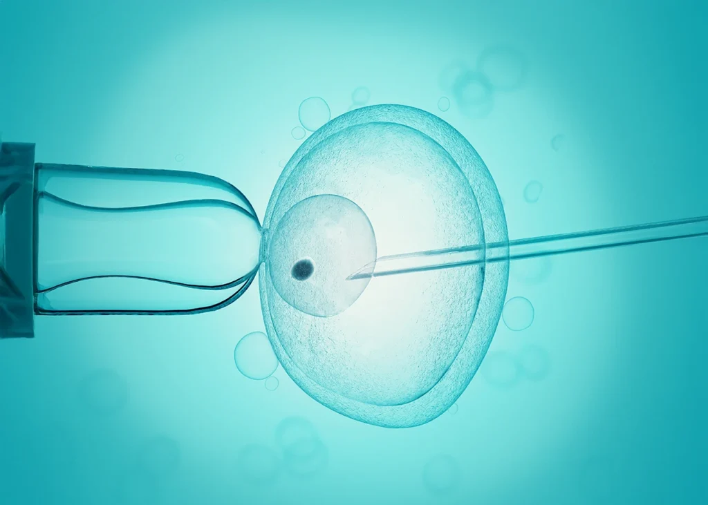 Embryo Transfer